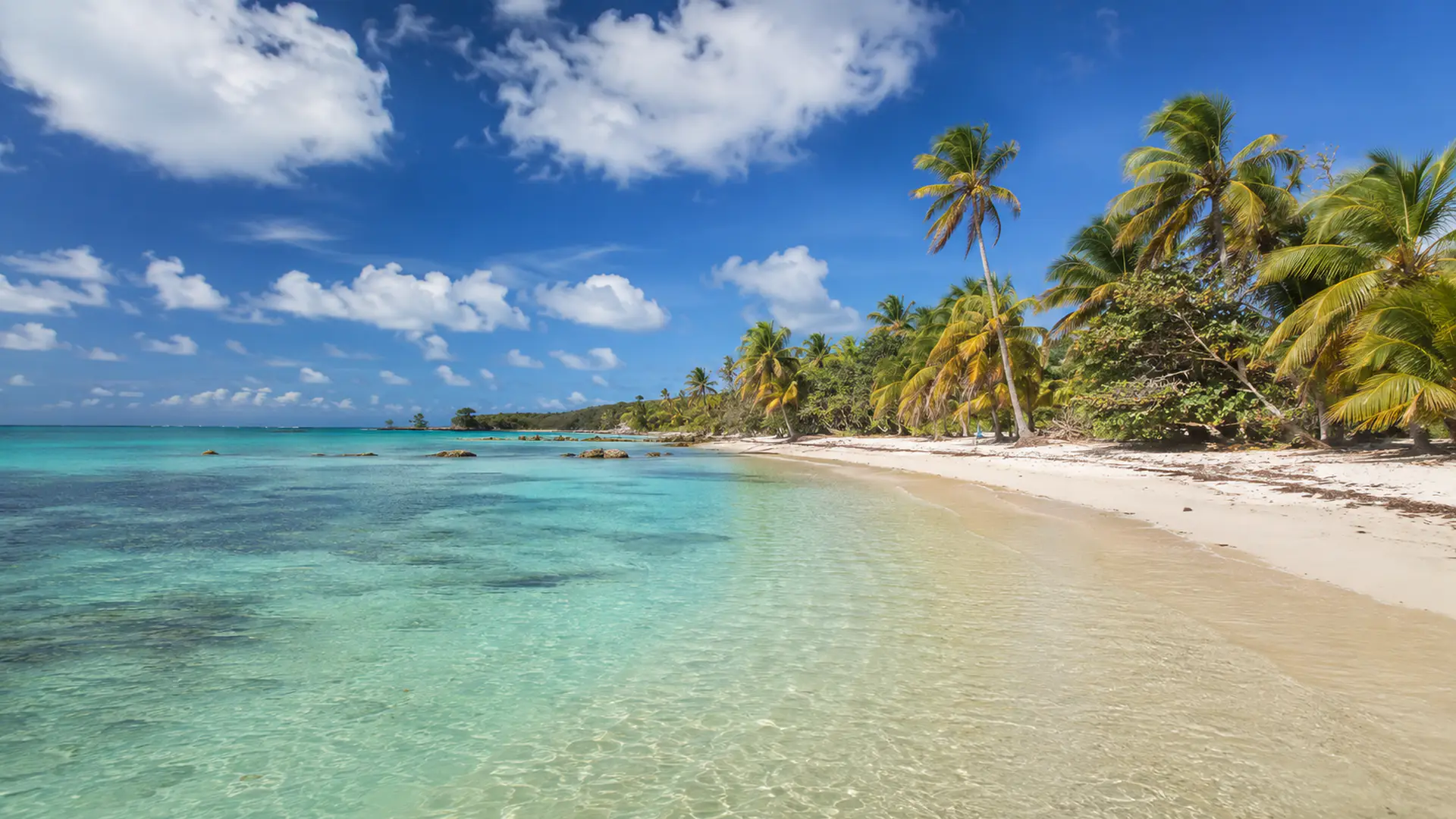Plage paradisiaque aux Antilles