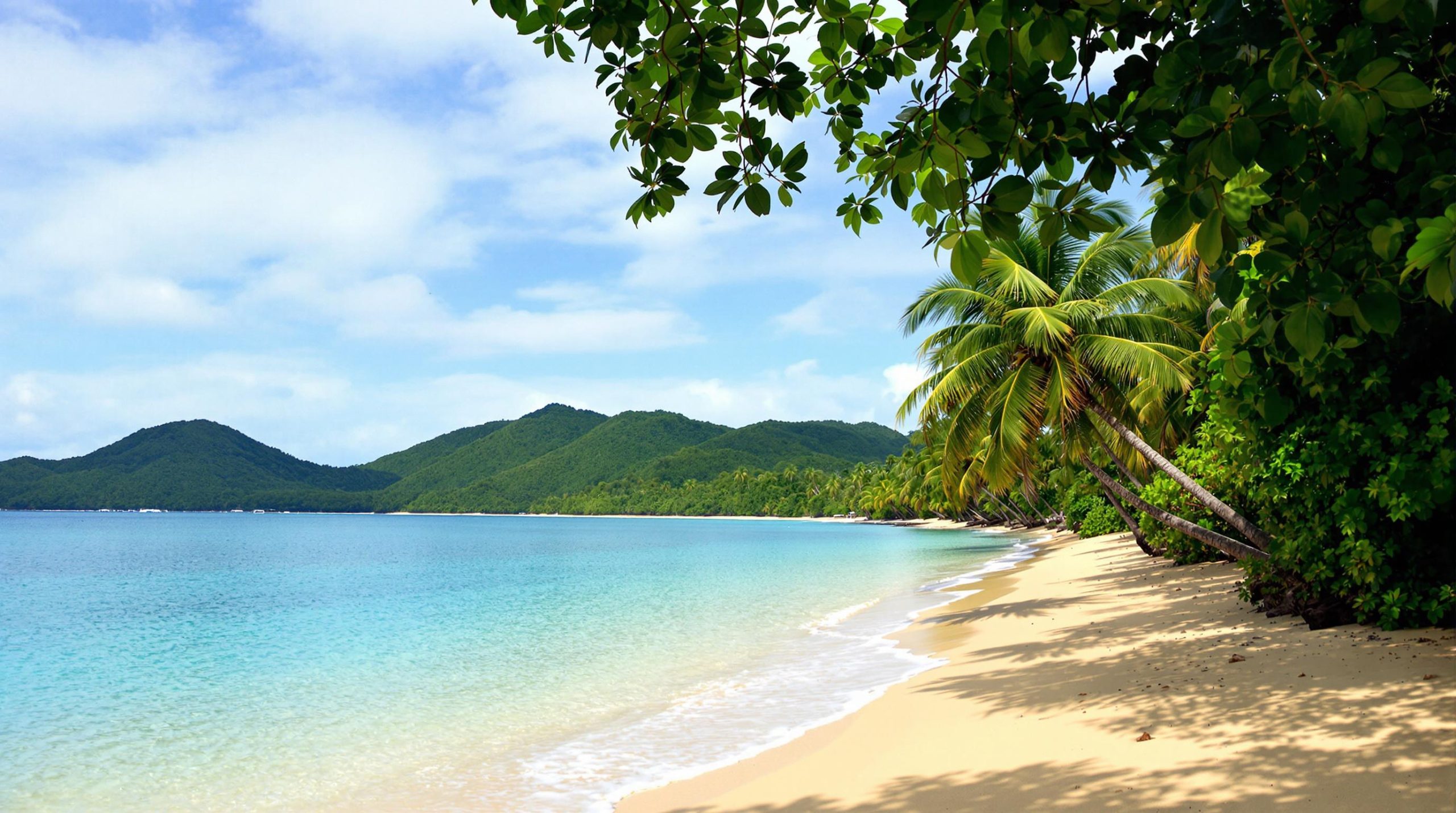 découvrez cap chevalier, une destination enchanteresse en martinique, où plages de sable blanc et eaux turquoise vous promettent une escapade idyllique. idéal pour les amateurs de nature et de détente, ce lieu magique combine beauté naturelle et atmosphère relaxante, un incontournable pour des vacances inoubliables.