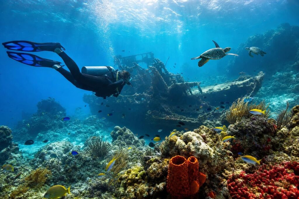 Plongée sous-marine aux antilles : guide des meilleurs spots et saisons