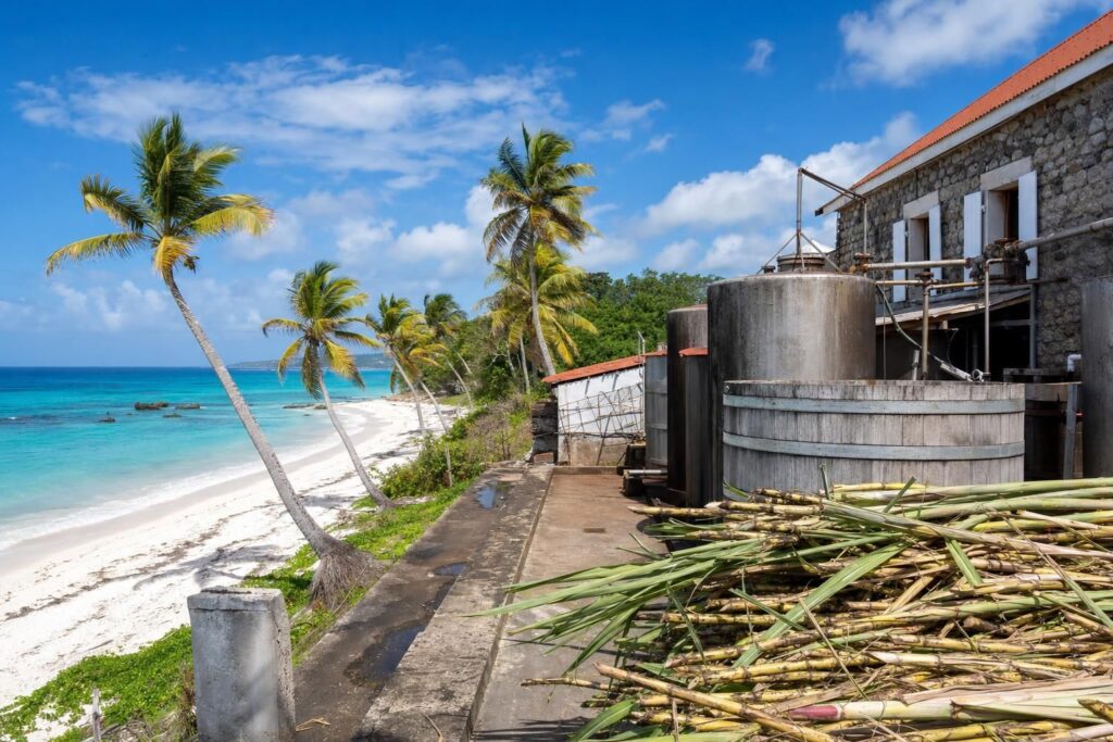 Découvrir Marie-Galante : Entre plages paradisiaques et distilleries authentiques