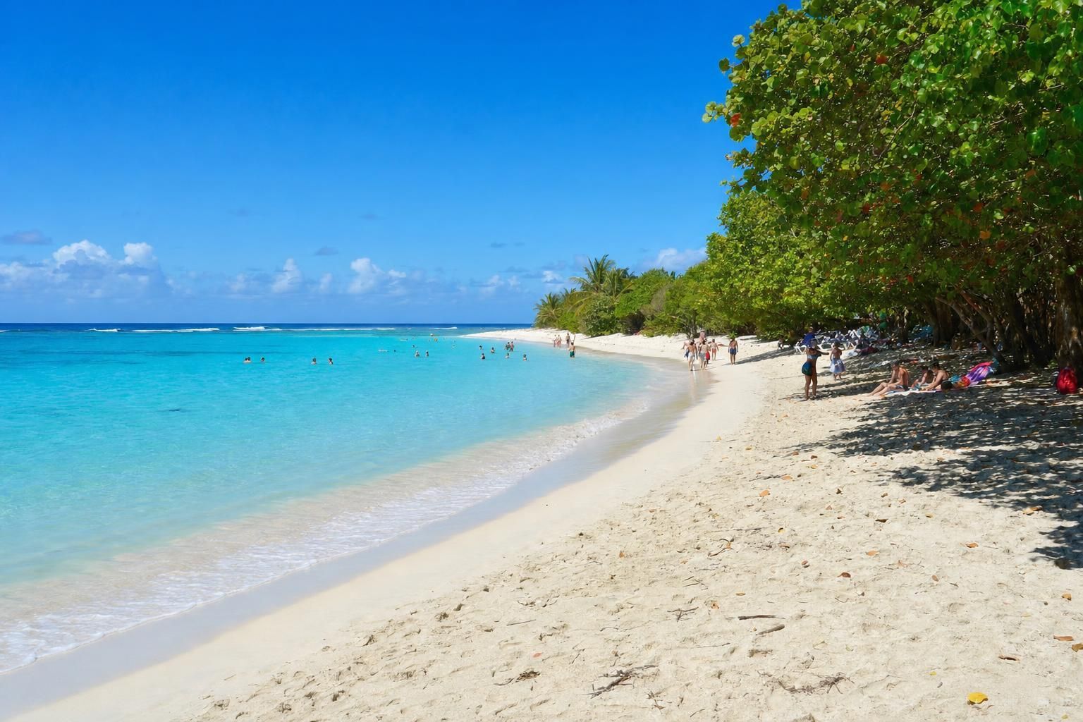 Découvrez Port-Louis en Guadeloupe : explorez ses plages paradisiaques, ses mangroves luxuriantes et son riche patrimoine culturel pour une expérience inoubliable.